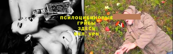 шишки Баксан