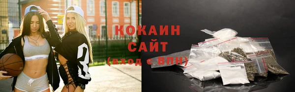 шишки Баксан