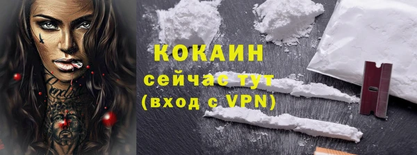 шишки Баксан