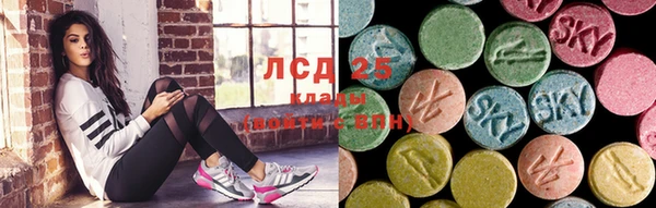 шишки Баксан
