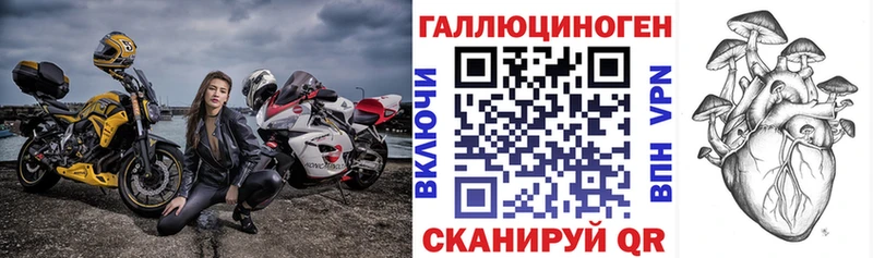Псилоцибиновые грибы Cubensis  Пестово 